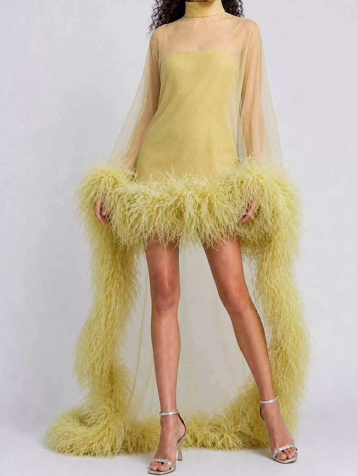 Feather-Trimmed Sheer Mock Neck Mini Dress