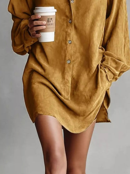 Contrast Collar Mini Shirt Dress